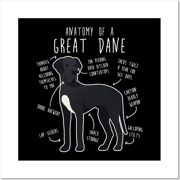 Black Great Dane Dog Anatomy Wall Art by Psitta